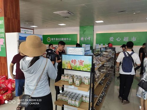 走进名茶之乡 走出脱贫致富之路——聚焦贺州茶旅产业与日用百货销售的融合发展